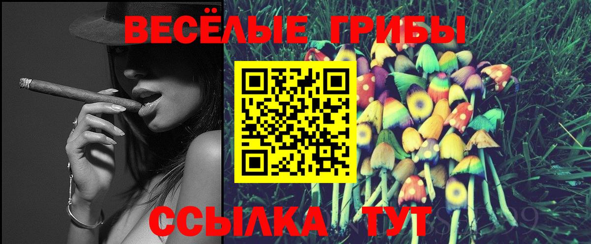 Галлюциногенные грибы мицелий Мирный